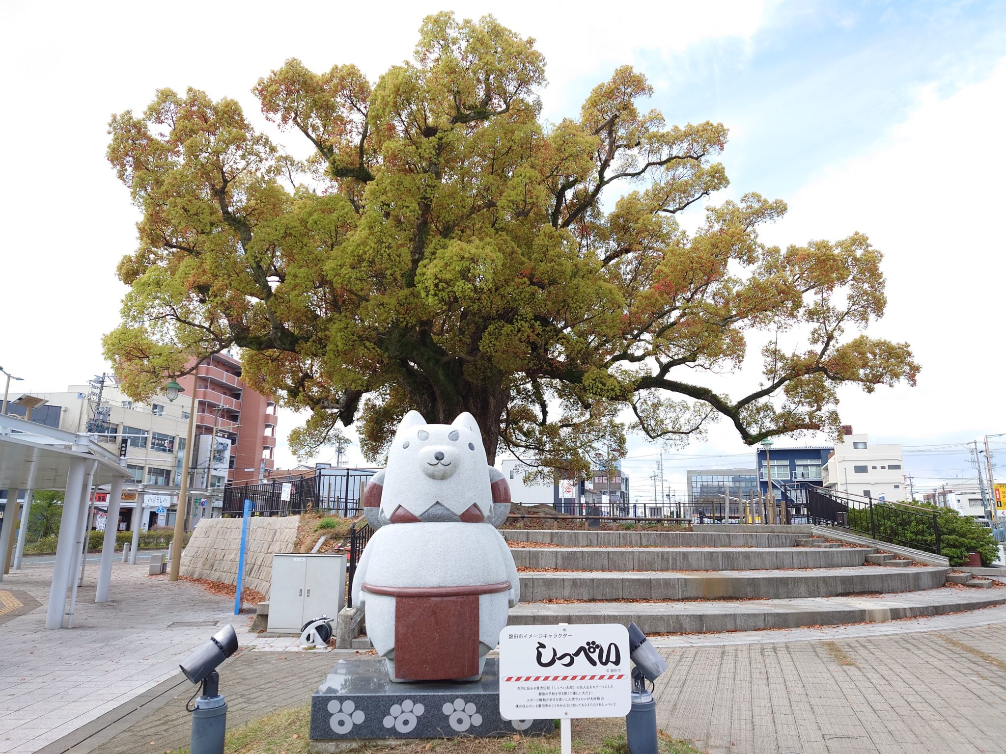 いわたスペシャリスト認定試験2024 ①大人用　②子供用（ｽﾍﾟｼｬﾘｽﾄｼﾞｭﾆｱ）