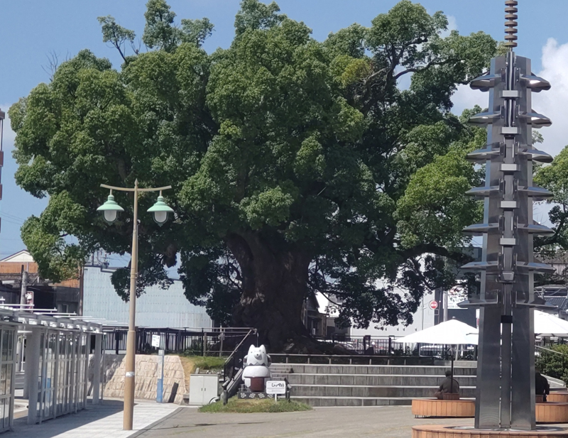 中泉歴史文化にふれる ウォーキングツアー（買物券付）