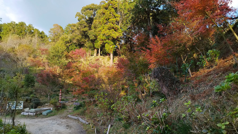 秋の自然を楽しむ探検プログラム! 豊岡クエスト＊獅子ケ鼻公園、＊敷地里山公園