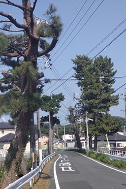 イヤホンガイドシステムを利用して　ご案内千三百年の時を歩く　いわた歴史ウォーク 徳川・武田の戦国ロマンと歴史が交差する街道を往く